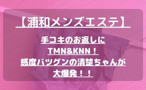 怪獣ブログのアイキャッチ